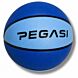 Pegasi basketbal maat 5 Sky