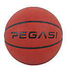Pegasi basketbal maat 7 