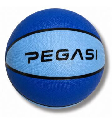 Pegasi basketbal maat 5 Sky